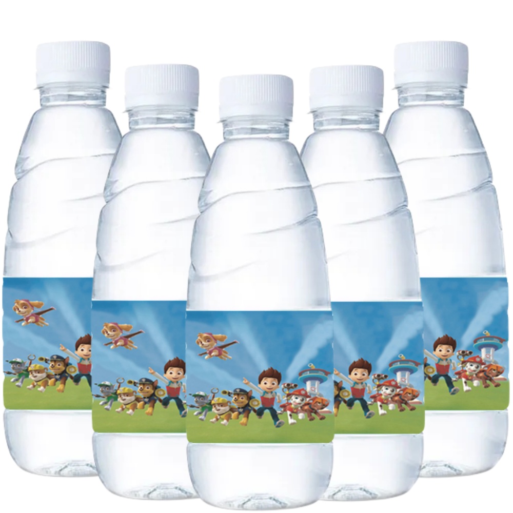 Paw Patrol Water Bottle Labels - Candy Sour Strip recension och pris